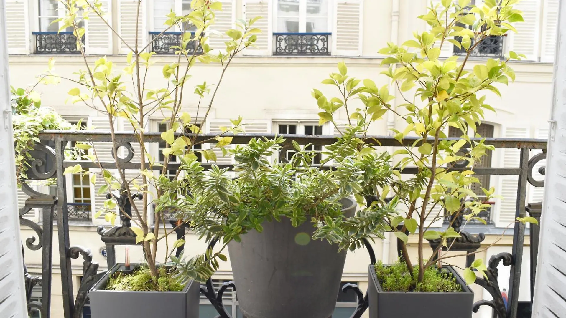 Montmartre